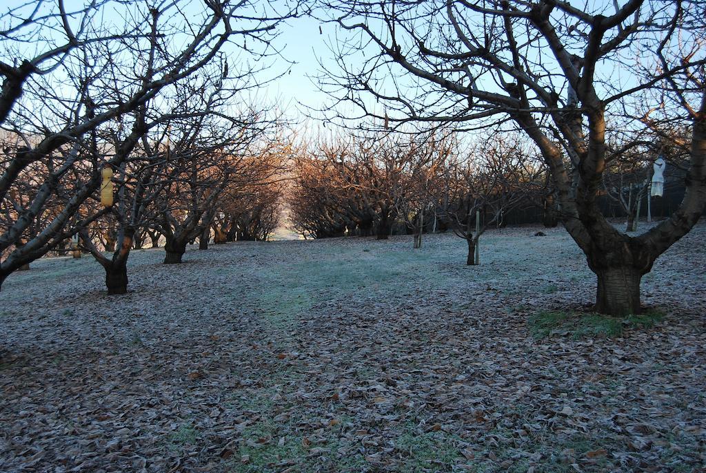 Tenuta Fortelongo Fara Vicentino Εξωτερικό φωτογραφία